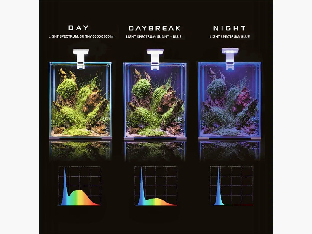 Aquael Shrimp Set Day&Night 30,svart