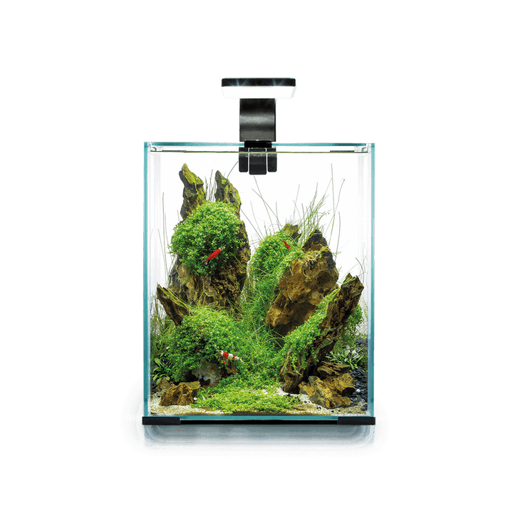 Aquael Shrimp Set Day&Night 30,svart