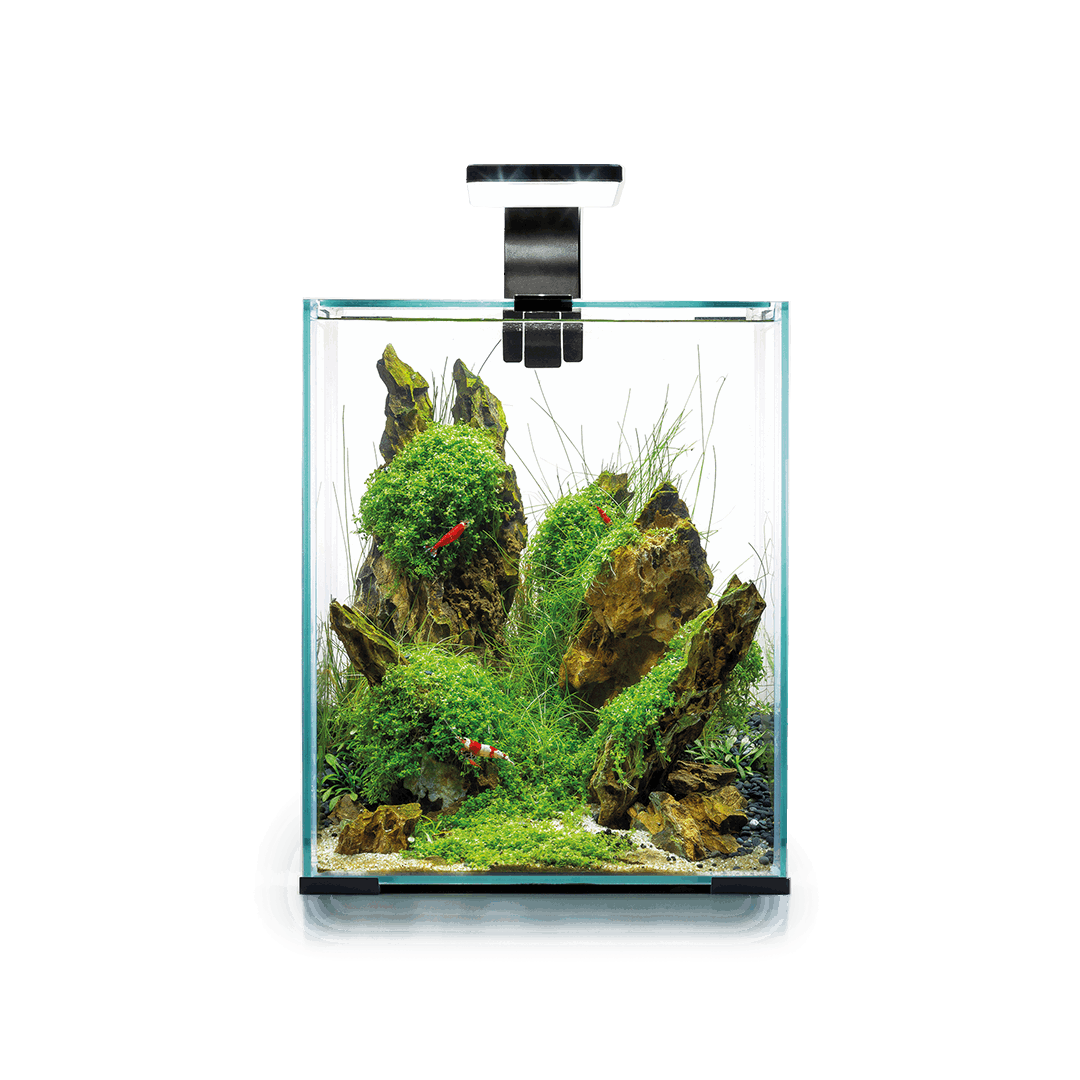 Aquael Shrimp Set Day&Night 30,svart