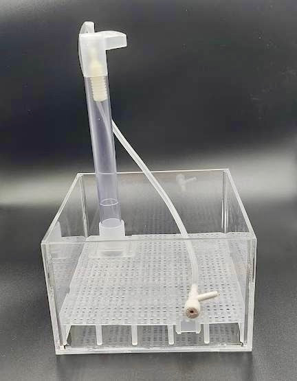 Shrimps Affair UGF set